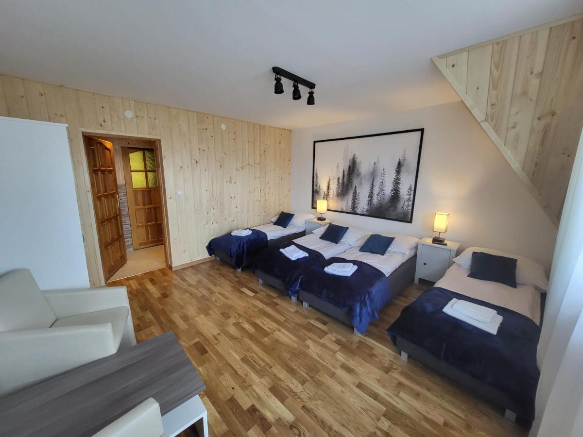 Apartament Z Widokiem Na Panorame Tatr "Appwidokowa9" Gliczarow Gorny المظهر الخارجي الصورة